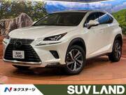 2018 LEXUS NX