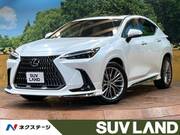 2023 LEXUS NX
