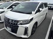 2019 TOYOTA ALPHARD S CPACKAGE