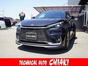 2024 LEXUS OTHER