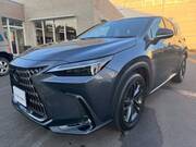 2022 LEXUS NX