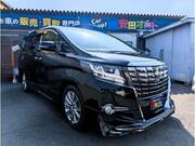 2017 TOYOTA ALPHARD G