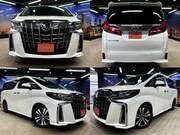 2019 TOYOTA ALPHARD