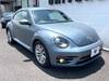 VOLKSWAGEN THE BEETLE