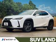 2022 LEXUS UX