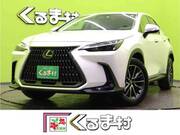 2023 LEXUS NX