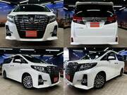 2016 TOYOTA ALPHARD