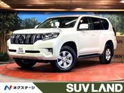 2019 TOYOTA LAND CRUISER PRADO TX