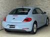 VOLKSWAGEN THE BEETLE