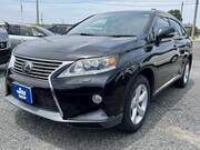 2013 LEXUS RX