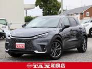 2024 LEXUS OTHER