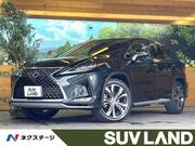 2020 LEXUS RX
