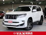 2021 TOYOTA LAND CRUISER PRADO