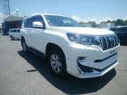 2019 TOYOTA LAND CRUISER PRADO TX