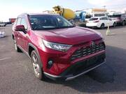 2019 TOYOTA RAV4 G