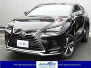 2020 LEXUS NX