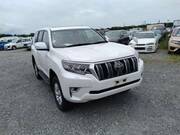2019 TOYOTA LAND CRUISER PRADO TX