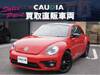 VOLKSWAGEN THE BEETLE