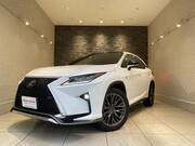 2019 LEXUS RX