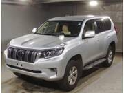 2021 TOYOTA LAND CRUISER PRADO TX