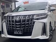 2019 TOYOTA ALPHARD