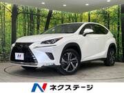 2019 LEXUS NX