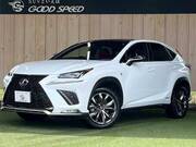 2018 LEXUS NX