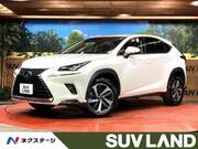 2019 LEXUS NX