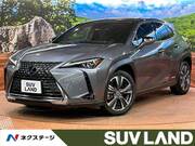 2018 LEXUS UX