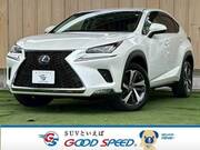 2018 LEXUS NX