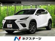 2019 LEXUS NX