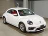VOLKSWAGEN THE BEETLE