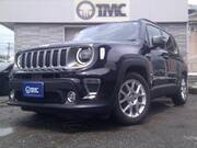 2019 CHRYSLER JEEP RENEGADE