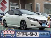 2019 NISSAN LEAF G