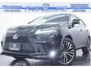 2010 LEXUS RX