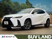 2020 LEXUS UX