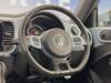 VOLKSWAGEN THE BEETLE
