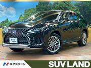 2019 LEXUS RX