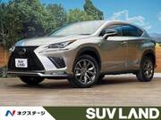 2021 LEXUS NX