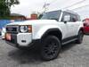 TOYOTA LANDCRUISER 250