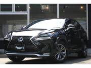 2016 LEXUS NX