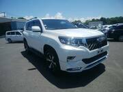 2018 TOYOTA LAND CRUISER PRADO TX