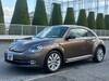 VOLKSWAGEN THE BEETLE