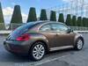VOLKSWAGEN THE BEETLE