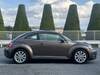VOLKSWAGEN THE BEETLE