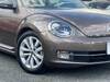 VOLKSWAGEN THE BEETLE