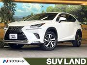 2019 LEXUS NX