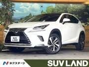 2018 LEXUS NX
