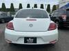 VOLKSWAGEN THE BEETLE