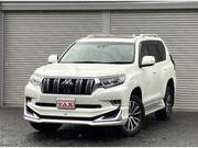 2019 TOYOTA LAND CRUISER PRADO